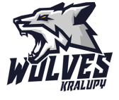 Kralupy Wolves, florbal