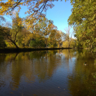 Tůňka v blízkosti kralupského koupaliště