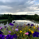 Květinová výzdoba na lávce