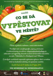 Co se dá vypěstovat ve městě?