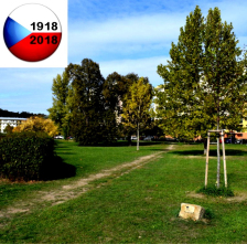 Na Cukrovaru budou vysazeny stromy partnerských měst