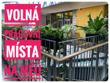 Volná pracovní místa na MěÚ