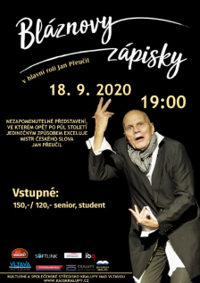 Bláznovy zápisky