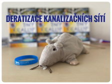 Deratizace kanalizačních sítí