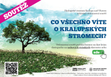 Soutěž o kralupských stromech