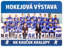 Hokejová výstava v přízemí MěÚ