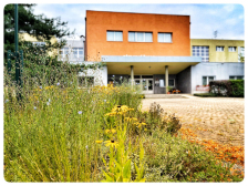 ZŠ Třebízského přijme asistenta pedagoga