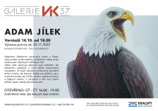 Vernisáž výstavy: Adam Jílek (14.10. 2022, Galerie VK 37) 