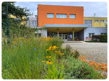 ZŠ a MŠ Třebízského přijme asistenta pedagoga