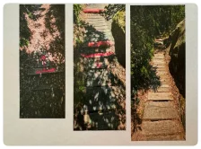 Oprava dřevěného chodníku na Hostibejku (19.06. - 23.06. 2024)