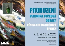 Vernisáž a výstava výtvarnice Veroniky Tučkové v městském muzeu