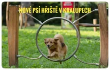 Na Strachově vznikne nové psí hřiště